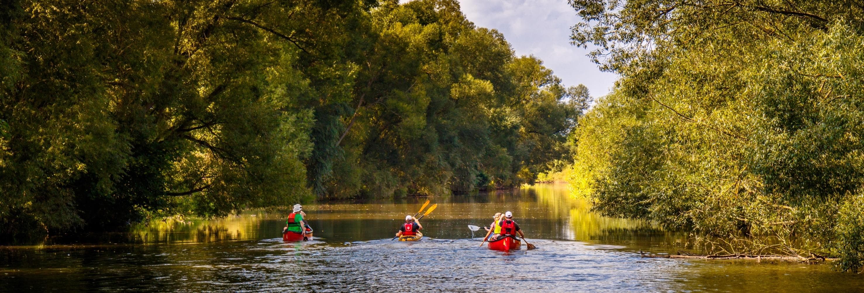 people canoeing